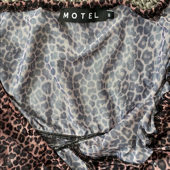 Motel Rocks Janina Top in Rar Leopard Mesh - Picture 2 of 3